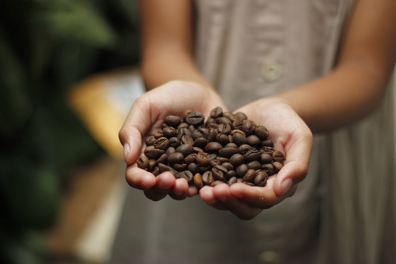 Meisje met koffiebonen in haar hand